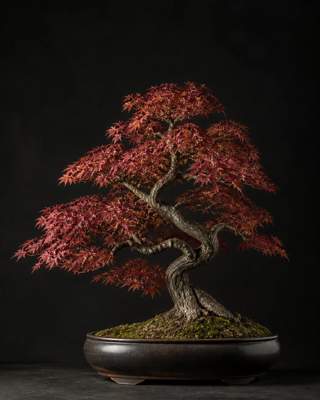 Photorealistischer Fächerahorn-Bonsai mit rotem Laub